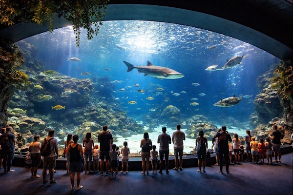 ️ Aquarium Poema del Mar in Las Palmas