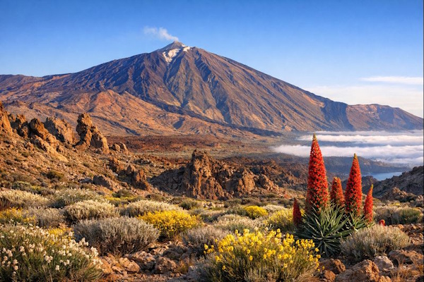 Der Teide von unten