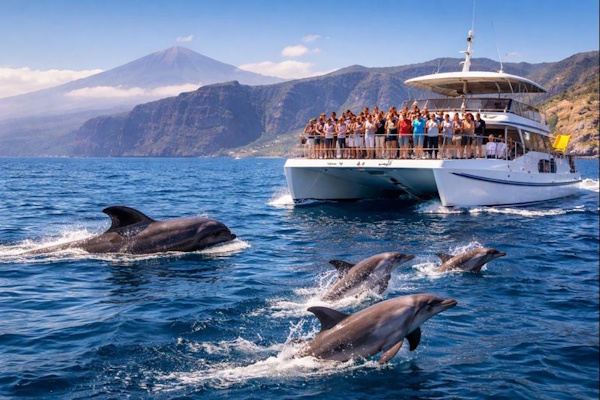 Delfintour und Waltour